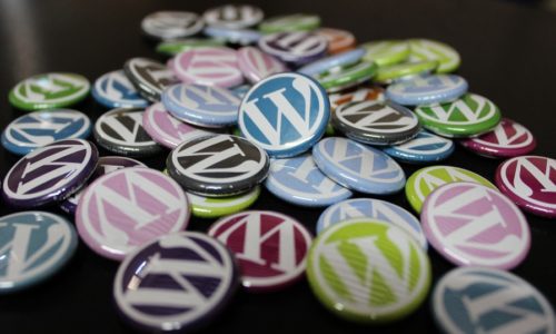 WORDPRESS BASICS BLOGS ECOMMERCE & BUSINESS DEVELOPMENT